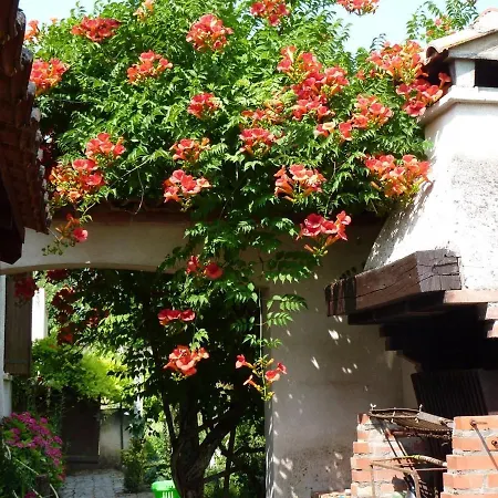 Au Bord Du Tarn Holiday home *